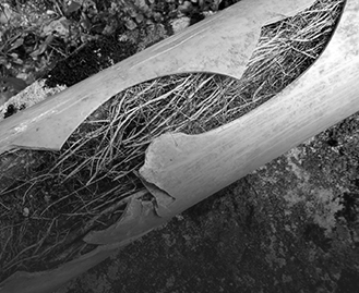 Blocked Drains Berwick